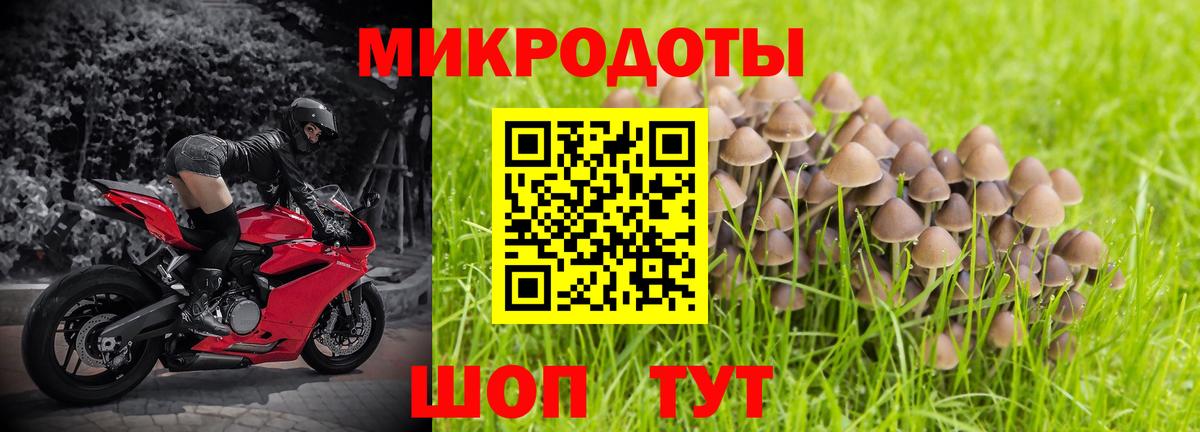 Хасавюрт  Псилоцибиновые грибы Psilocybe  Вход с VPN 