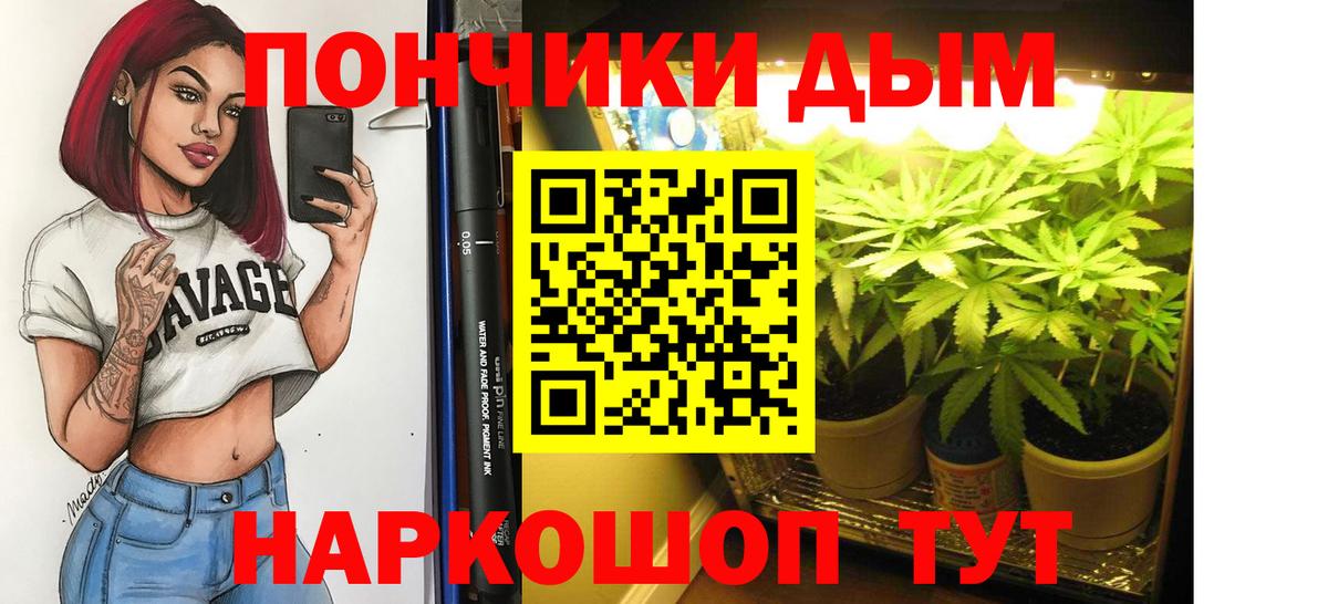 Каннабис OG Kush Хасавюрт